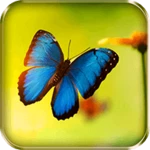 Logo of Butterflies Live Wallpaper android Application 